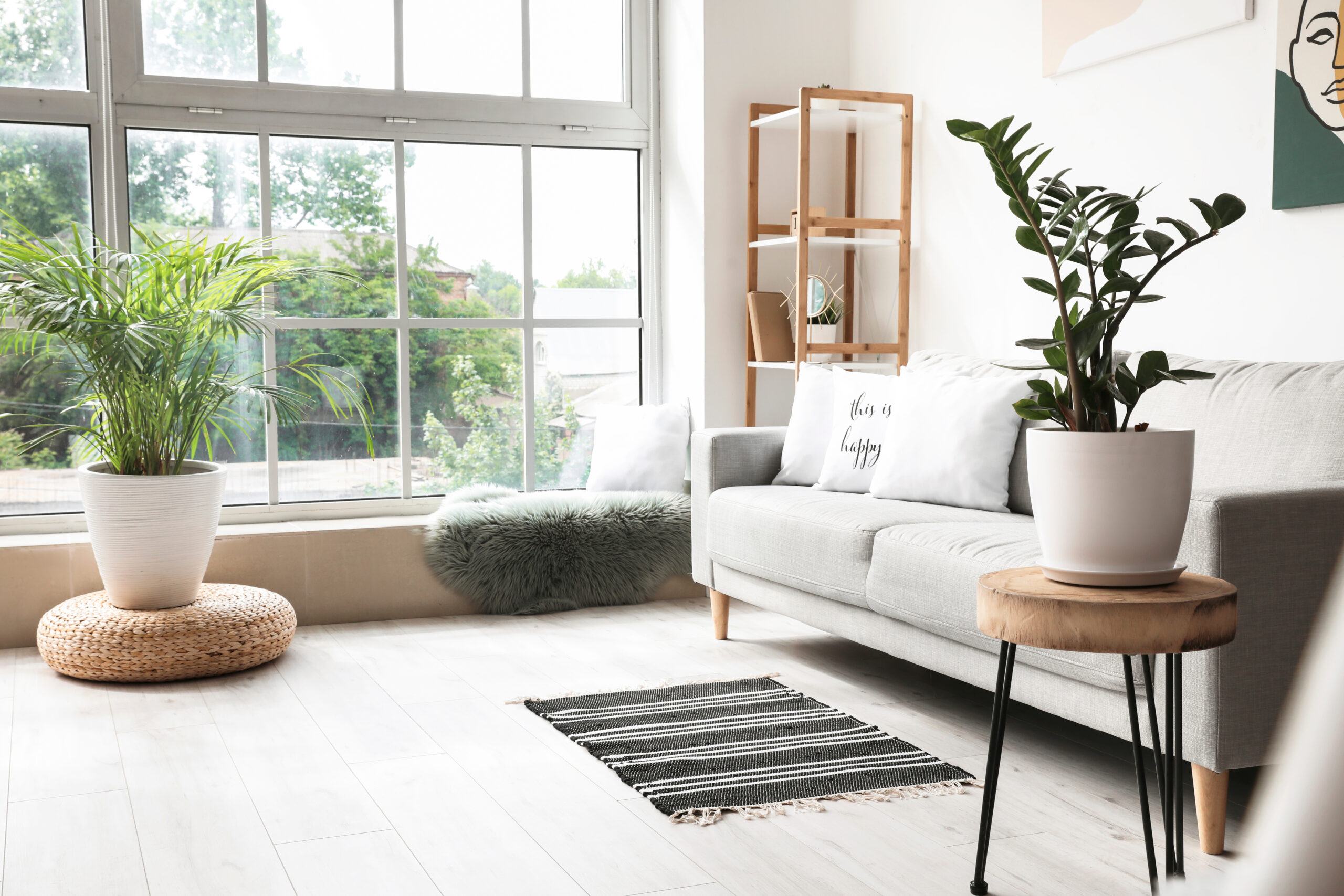 Wohnzimmer mit Sofa, Teppich, Pflanzen und grossem Fenster